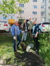 Андрей Малышев организовал посадку деревьев во дворе многоквартирных домов
